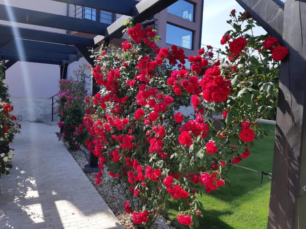 Kys House 호텔 테기르기올 외부 사진